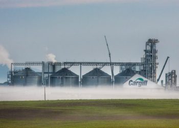 cade autoriza cargill para investir em “software verde”