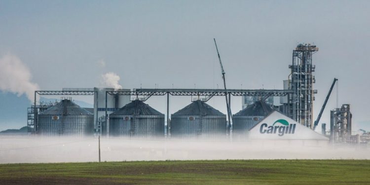 cade autoriza cargill para investir em “software verde”
