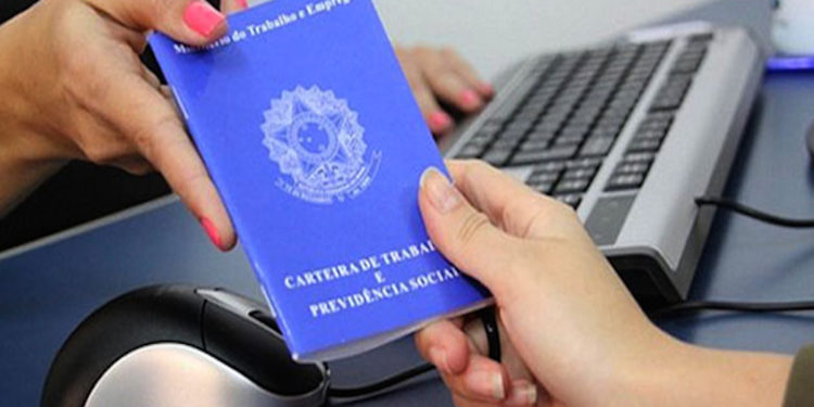 unidades do cate sp oferecem 700 vagas de emprego