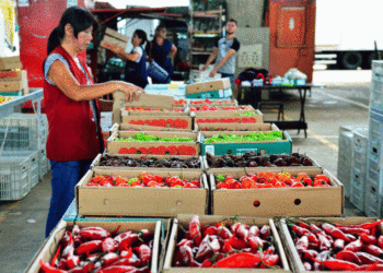privatização da ceagesp - governo federal mantém processo