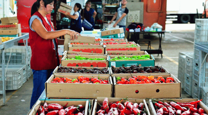 privatização da ceagesp - governo federal mantém processo