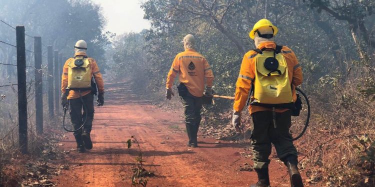 confira o edital do concurso ibram df