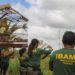 Concurso Ibama