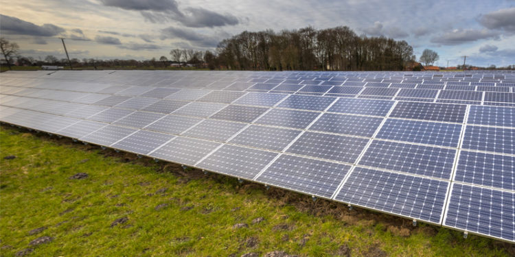 Programa de Estágio do Grupo Safira