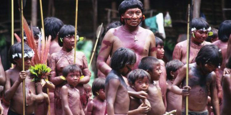 Território Yanomami