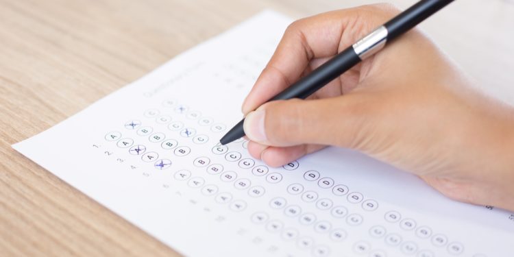 Realização de concursos públicos