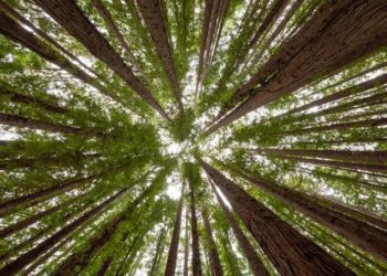 30 melhores empresas do Brasil em 2023: Época NEGÓCIOS 360° divulga nomes