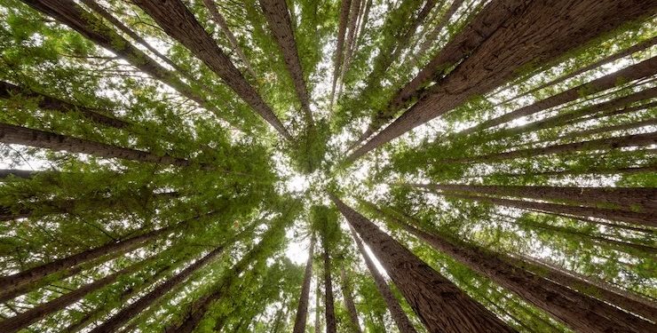 30 melhores empresas do Brasil em 2023: Época NEGÓCIOS 360° divulga nomes