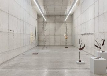 Novidades do Inhotim em 2024: Saiba tudo