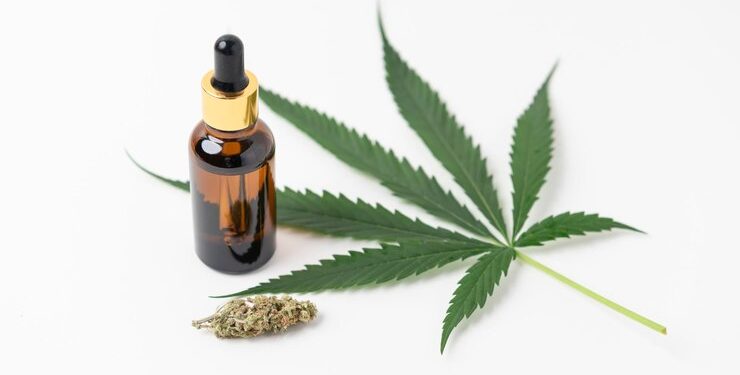 Substâncias da cannabis: UFSC estuda tratamento para Parkinson e Alzheimer