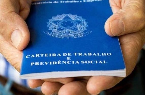 Empregos formais em Santos: Índice volta a subir em 2024