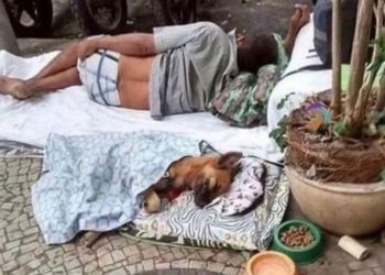 População em situação de rua: MP-SP questiona prefeituras sobre políticas públicas