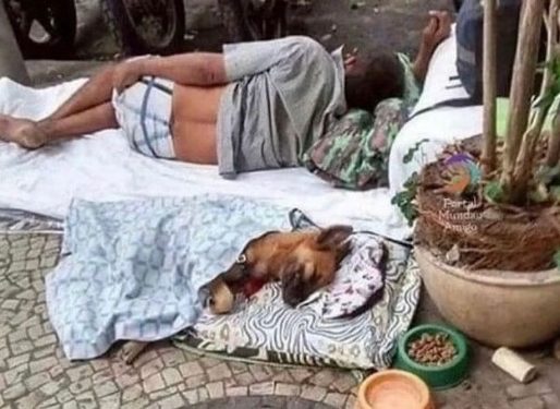 População em situação de rua: MP-SP questiona prefeituras sobre políticas públicas