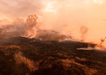 Incêndios em terras indígenas em MT: MPF cobra providências