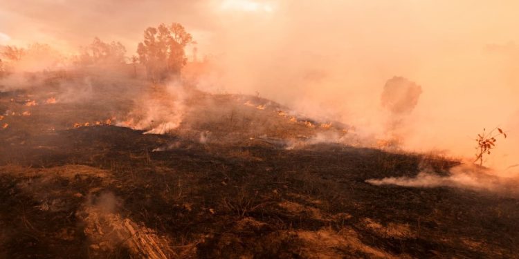 Incêndios em terras indígenas em MT: MPF cobra providências