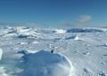 Novo microrganismo descoberto na Antártida pode ampliar estudos sobre vida fora da Terra