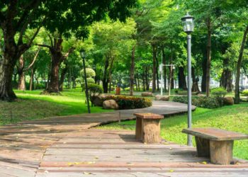Urbia deixará gestão dos parques Cantareira e Horto Florestal; governo de SP prepara nova concessão