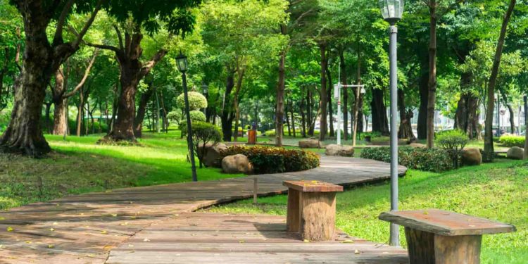 Urbia deixará gestão dos parques Cantareira e Horto Florestal; governo de SP prepara nova concessão